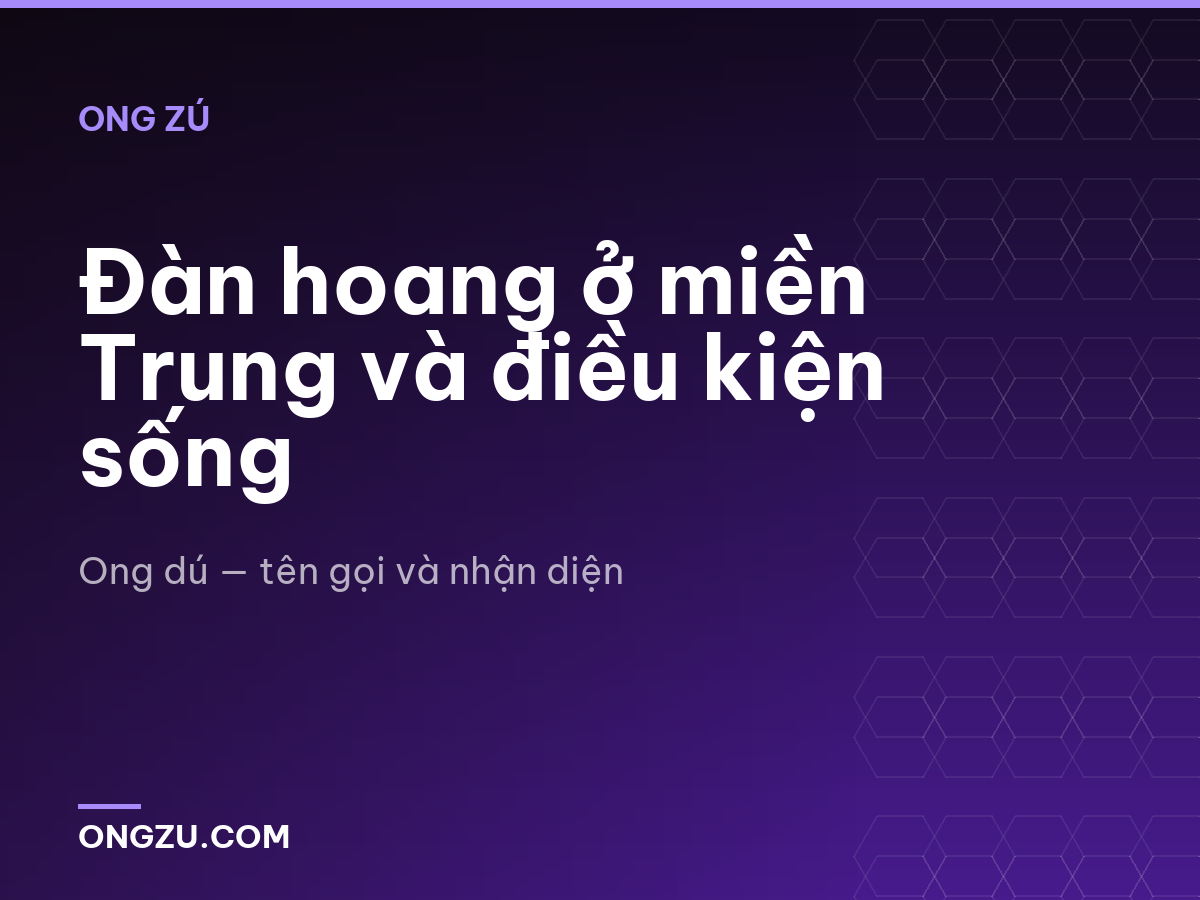 Đàn hoang ở miền Trung và điều kiện sống