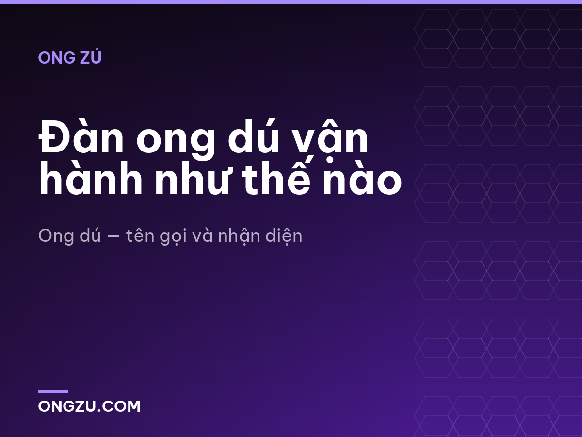 Đàn ong dú vận hành như thế nào