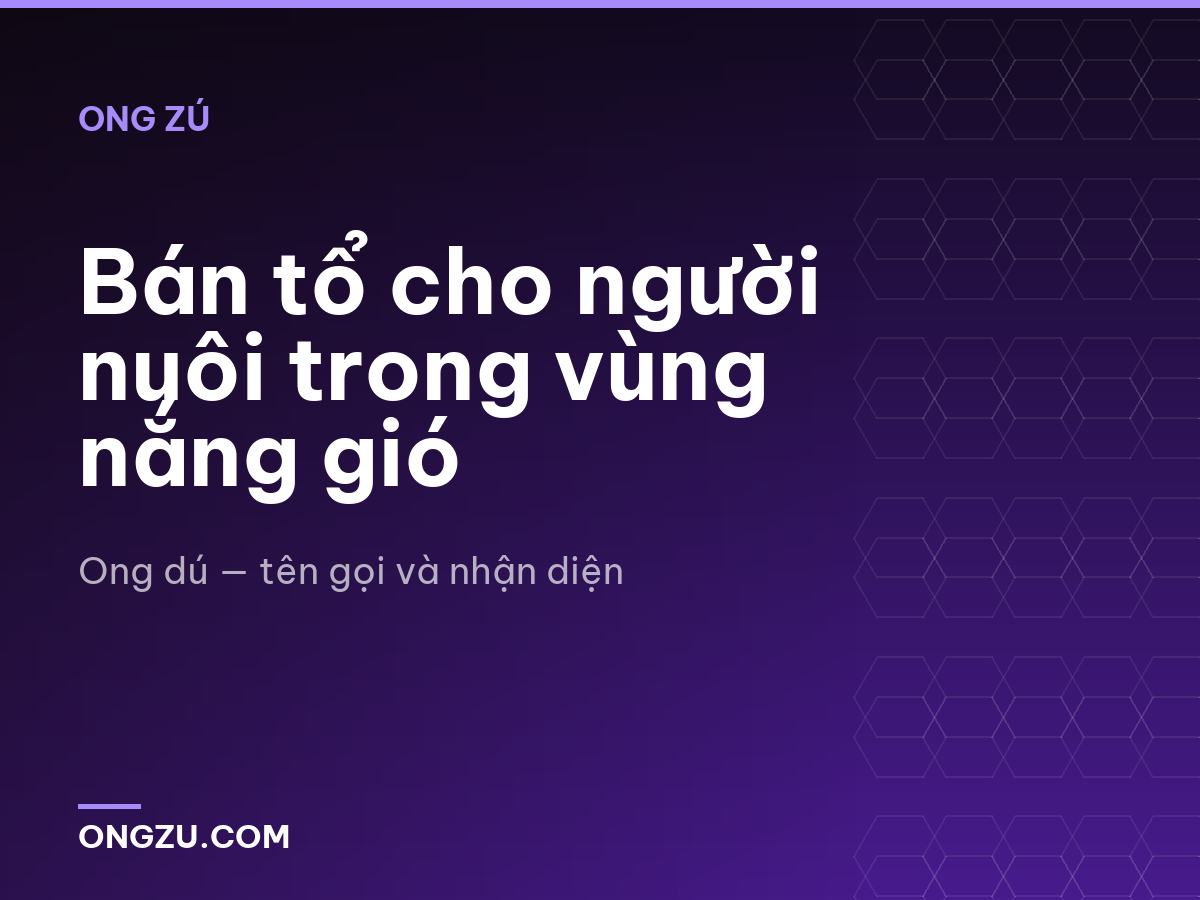 Bán tổ cho người nuôi trong vùng nắng gió