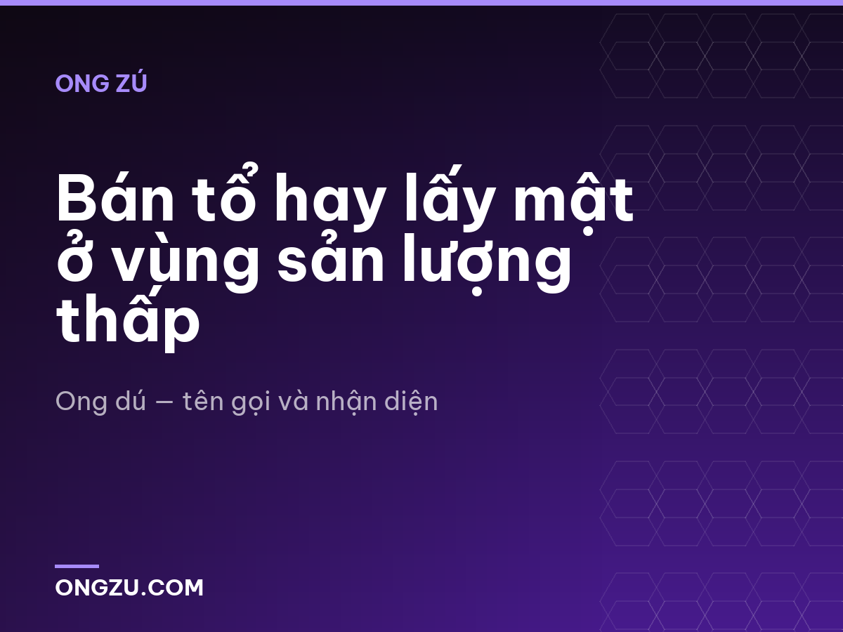 Bán tổ hay lấy mật ở vùng sản lượng thấp