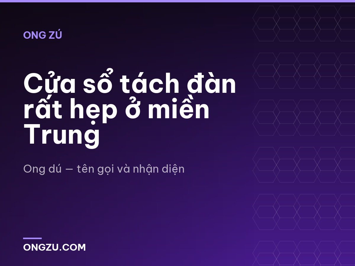 Cửa sổ tách đàn rất hẹp ở miền Trung