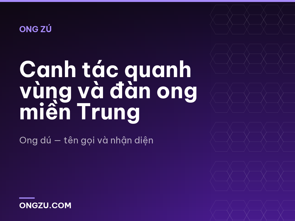 Canh tác quanh vùng và đàn ong miền Trung