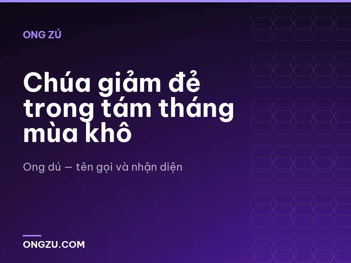 Chúa giảm đẻ trong tám tháng mùa khô