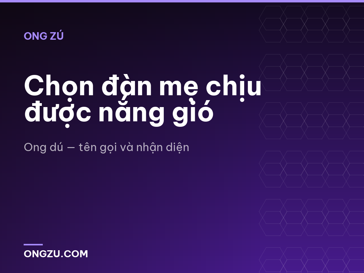 Chọn đàn mẹ chịu được nắng gió
