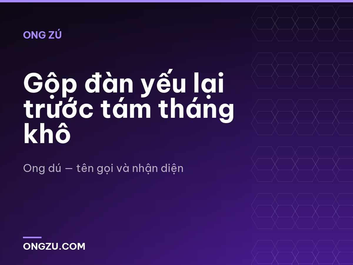 Gộp đàn yếu lại trước tám tháng khô