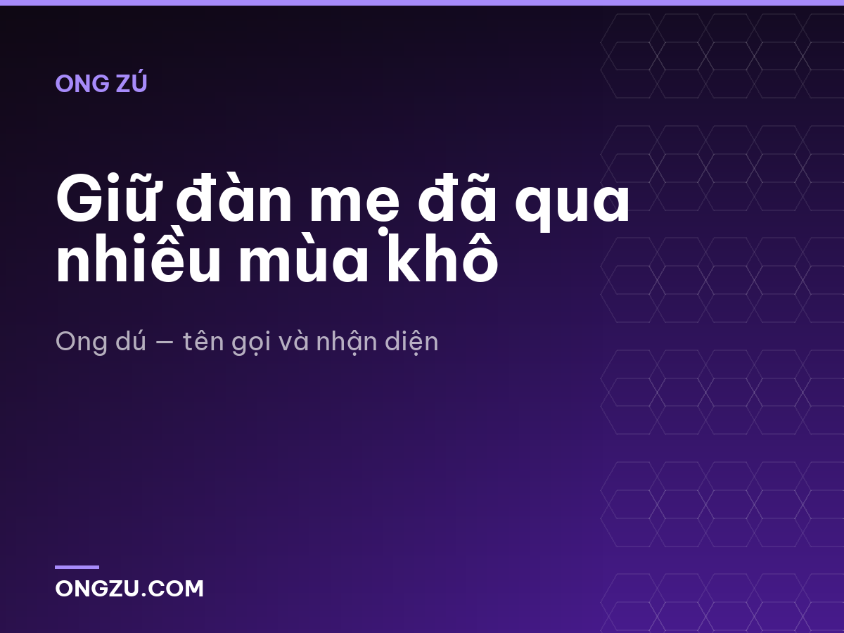 Giữ đàn mẹ đã qua nhiều mùa khô