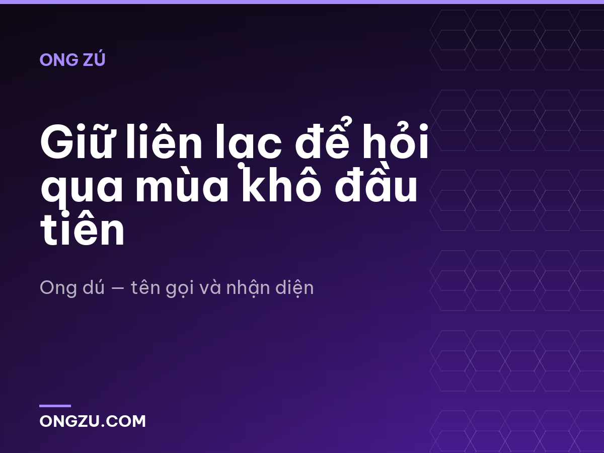 Giữ liên lạc để hỏi qua mùa khô đầu tiên