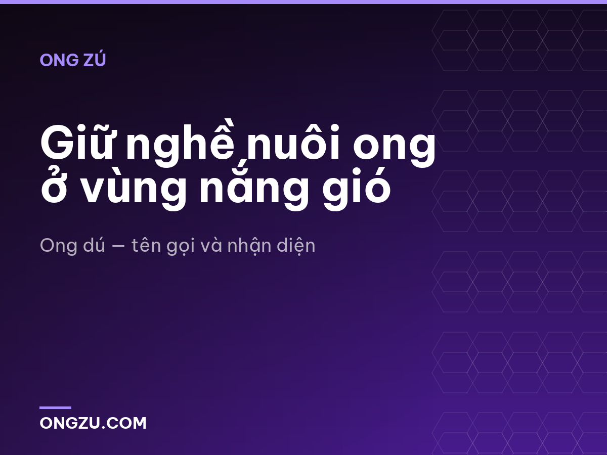 Giữ nghề nuôi ong ở vùng nắng gió