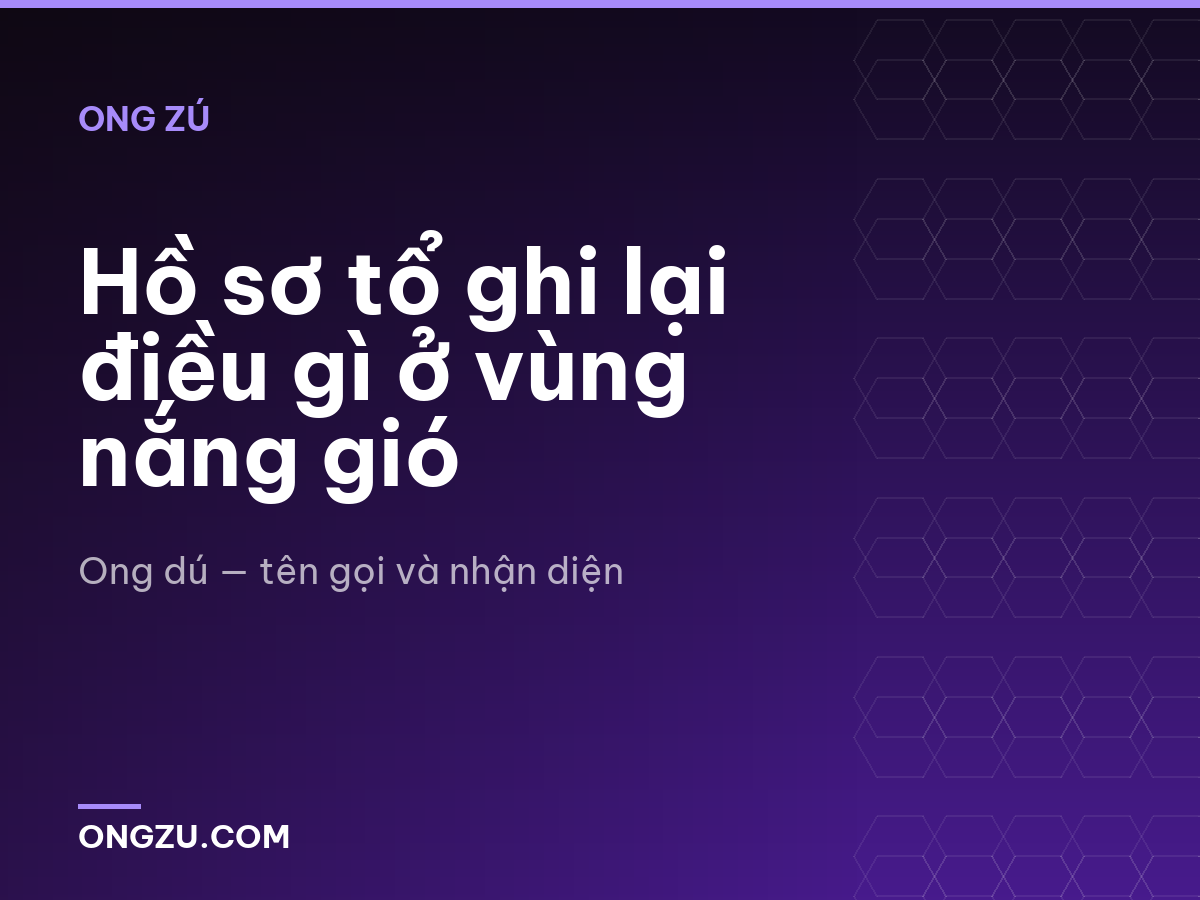 Hồ sơ tổ ghi lại điều gì ở vùng nắng gió