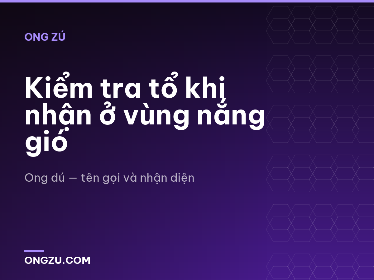 Kiểm tra tổ khi nhận ở vùng nắng gió