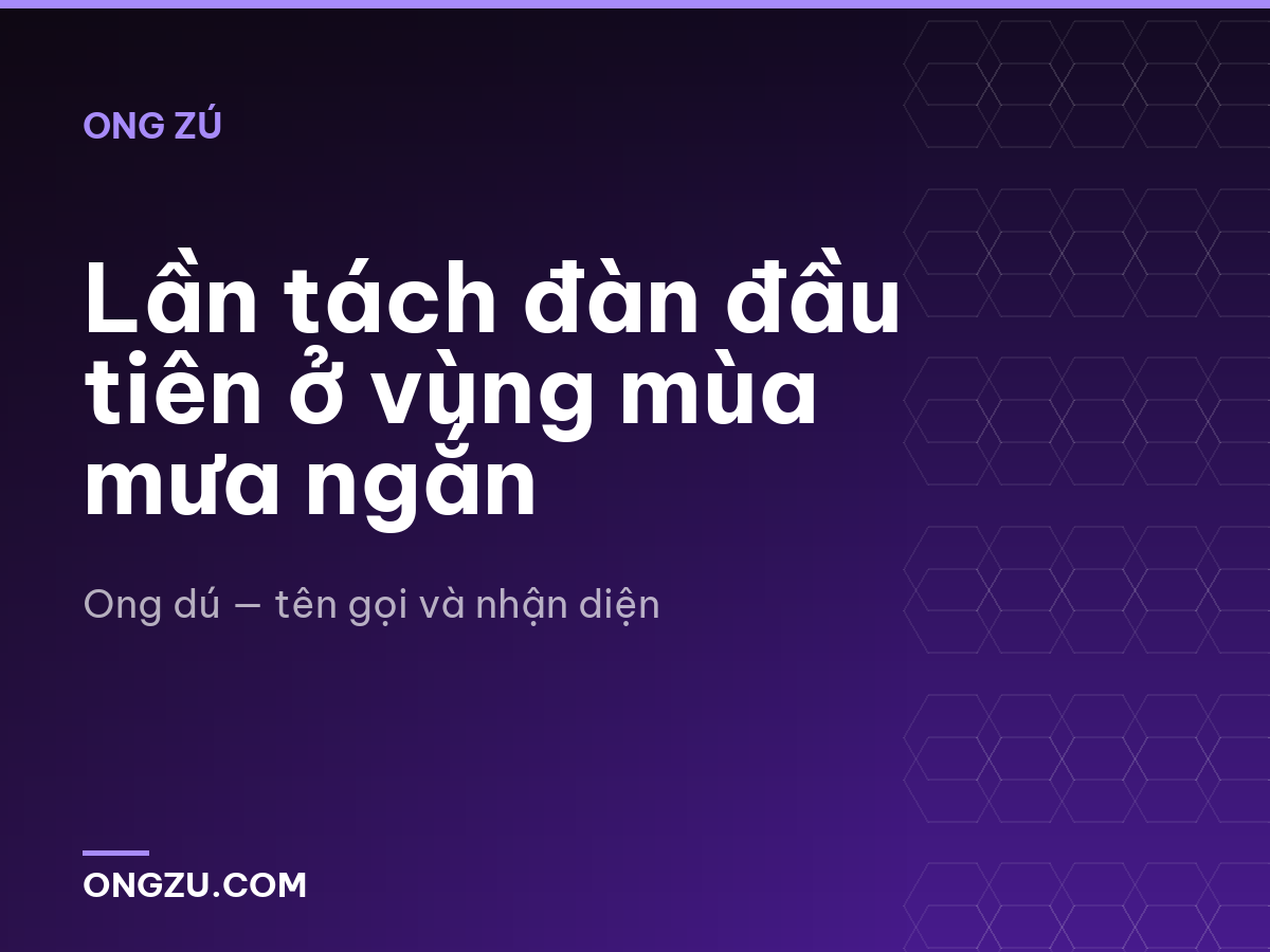 Lần tách đàn đầu tiên ở vùng mùa mưa ngắn