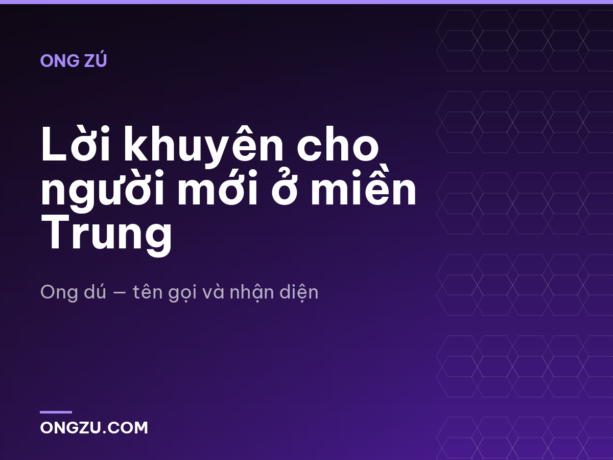 Lời khuyên cho người mới ở miền Trung