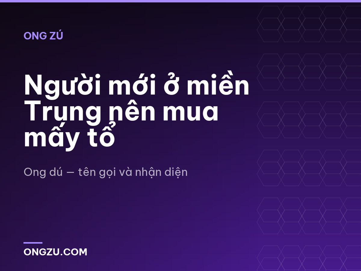 Người mới ở miền Trung nên mua mấy tổ