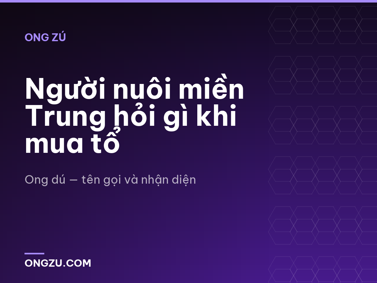 Người nuôi miền Trung hỏi gì khi mua tổ