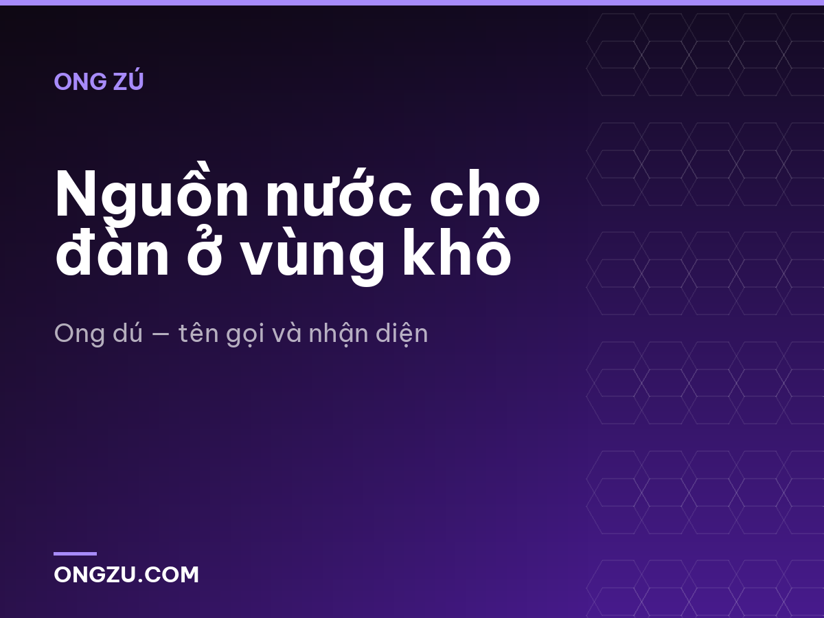 Nguồn nước cho đàn ở vùng khô
