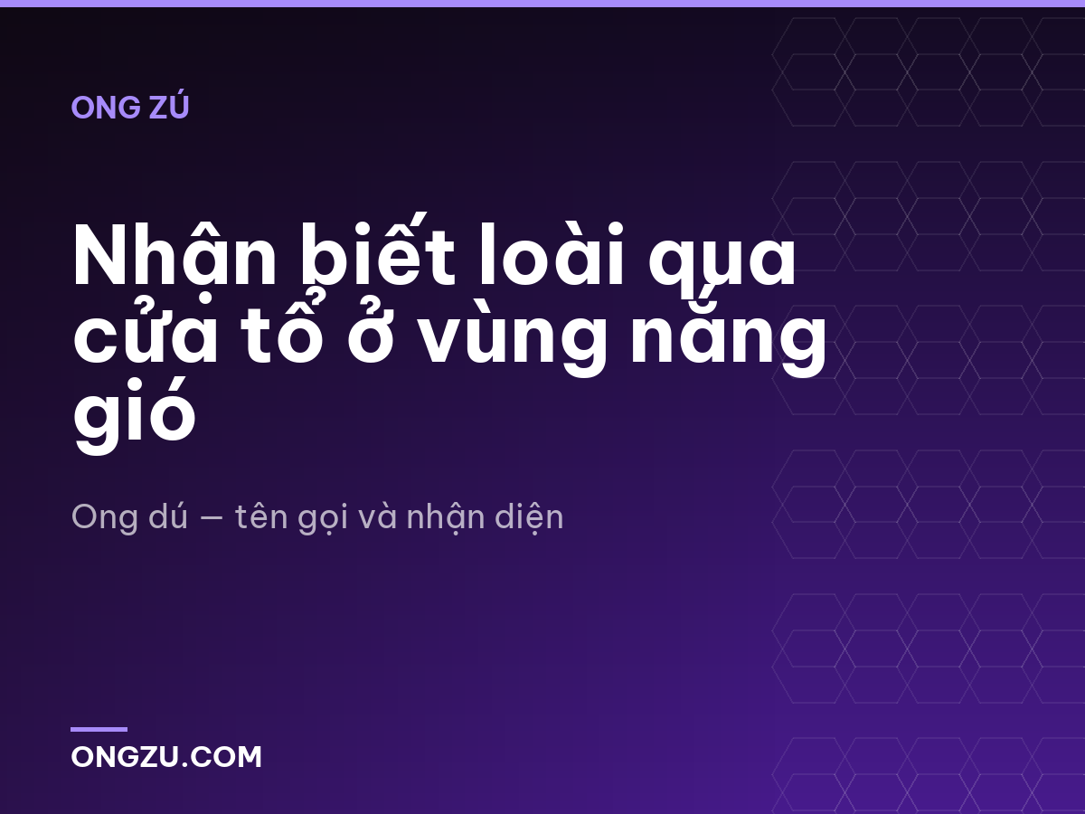 Nhận biết loài qua cửa tổ ở vùng nắng gió