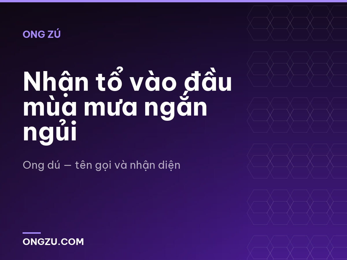 Nhận tổ vào đầu mùa mưa ngắn ngủi