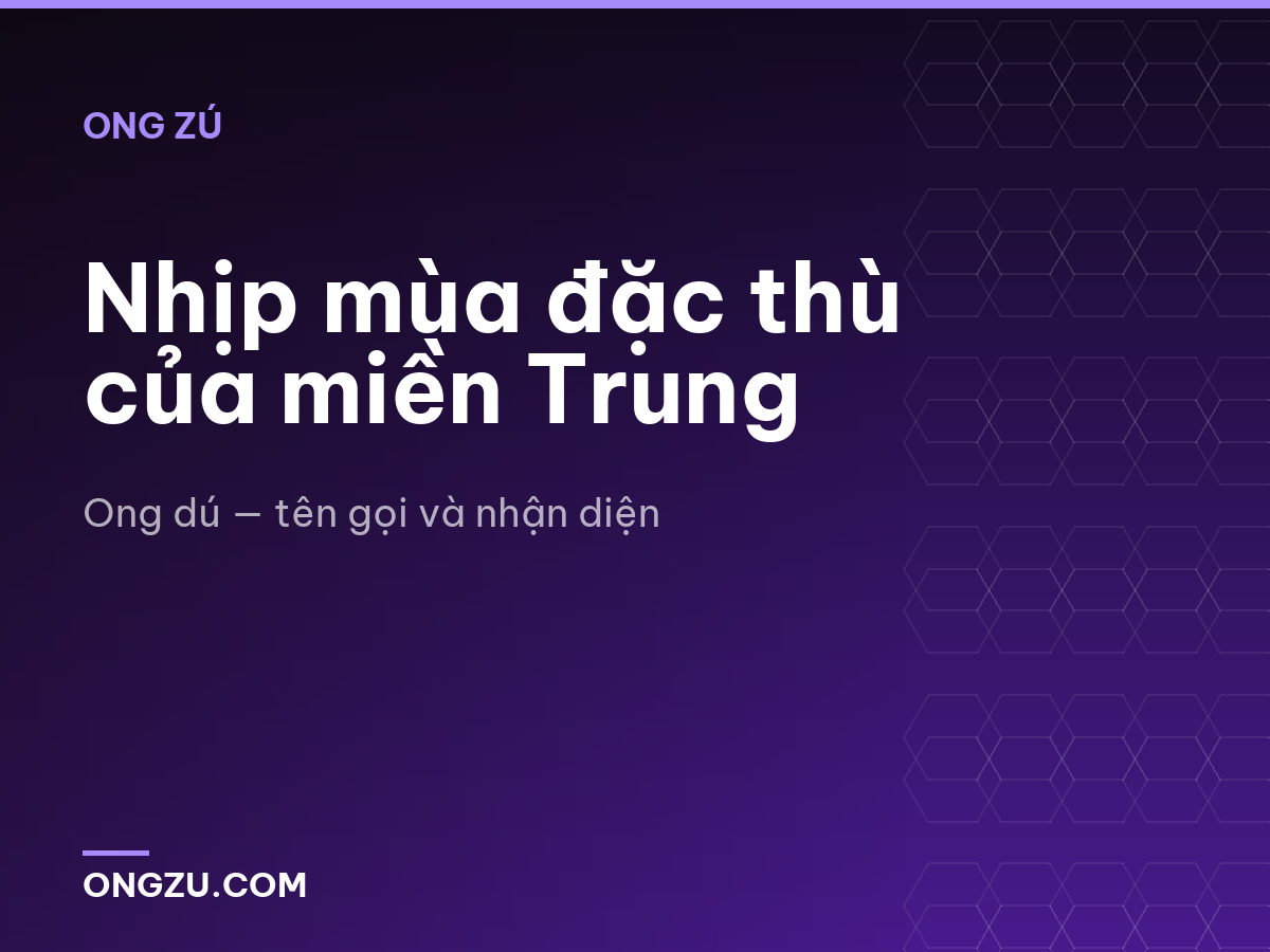 Nhịp mùa đặc thù của miền Trung