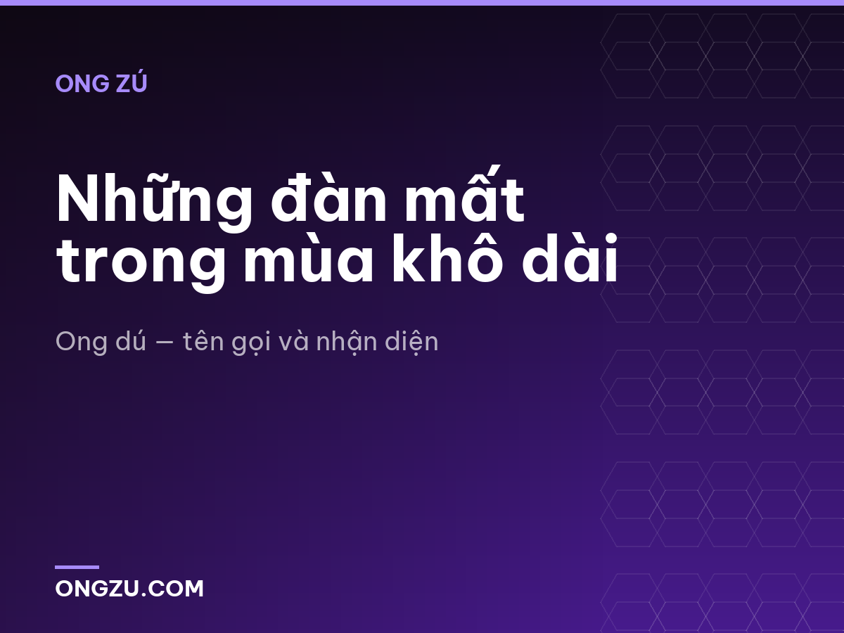 Những đàn mất trong mùa khô dài