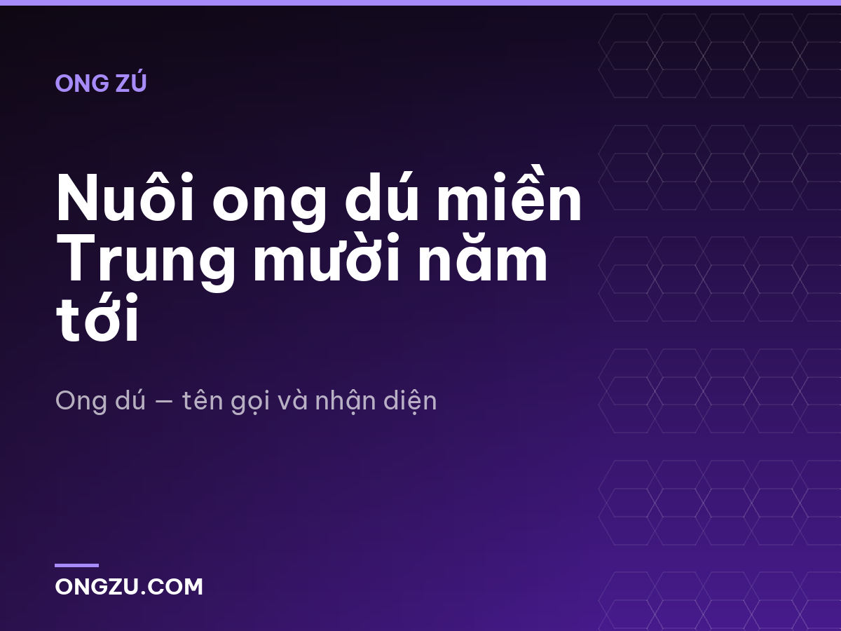 Nuôi ong dú miền Trung mười năm tới