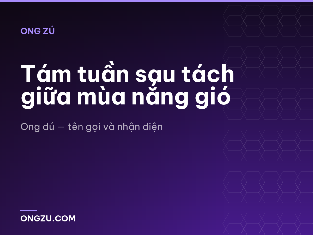 Tám tuần sau tách giữa mùa nắng gió
