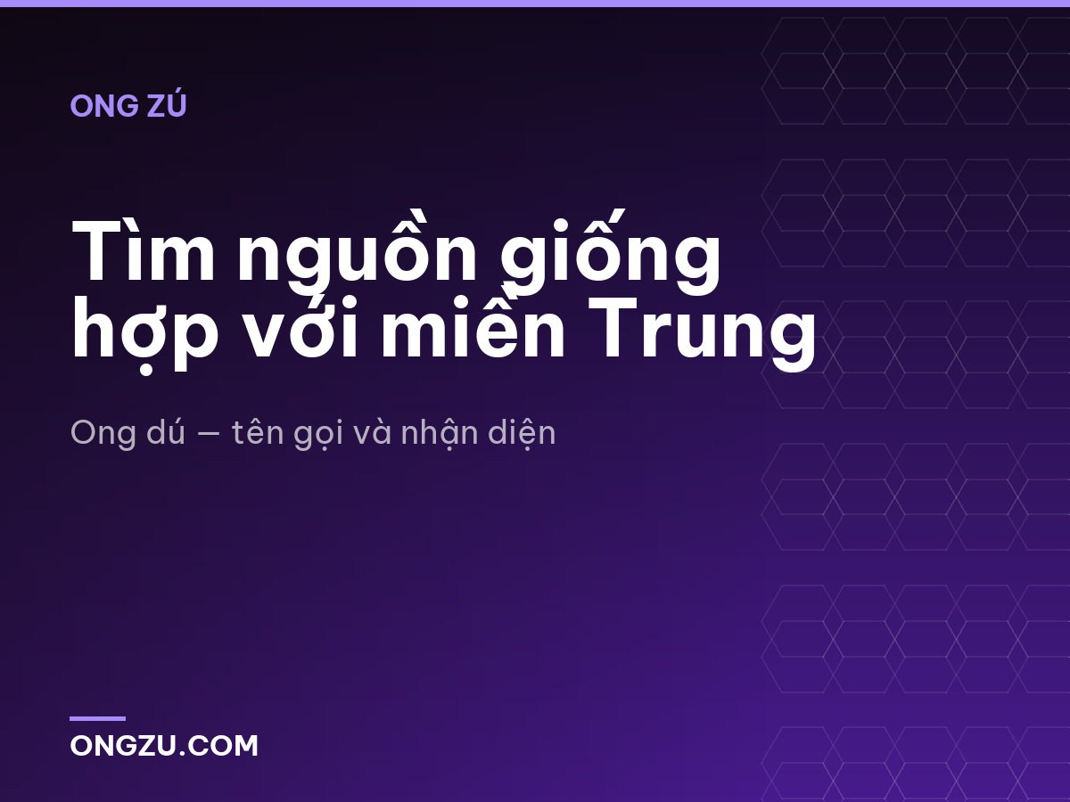 Tìm nguồn giống hợp với miền Trung