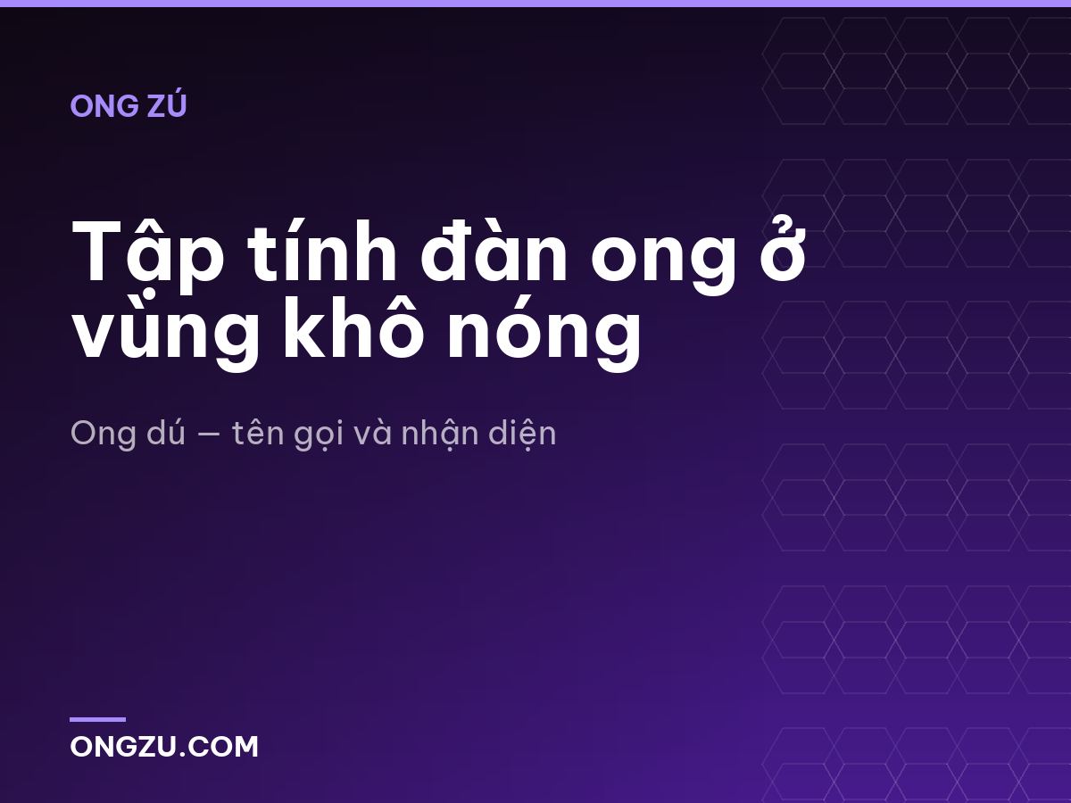 Tập tính đàn ong ở vùng khô nóng