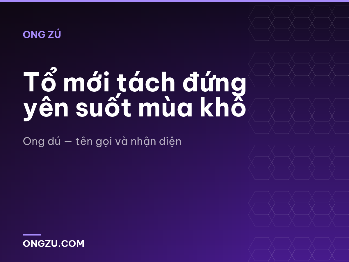 Tổ mới tách đứng yên suốt mùa khô