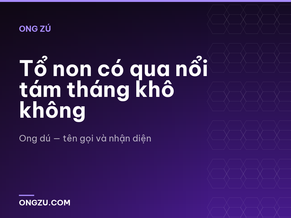 Tổ non có qua nổi tám tháng khô không