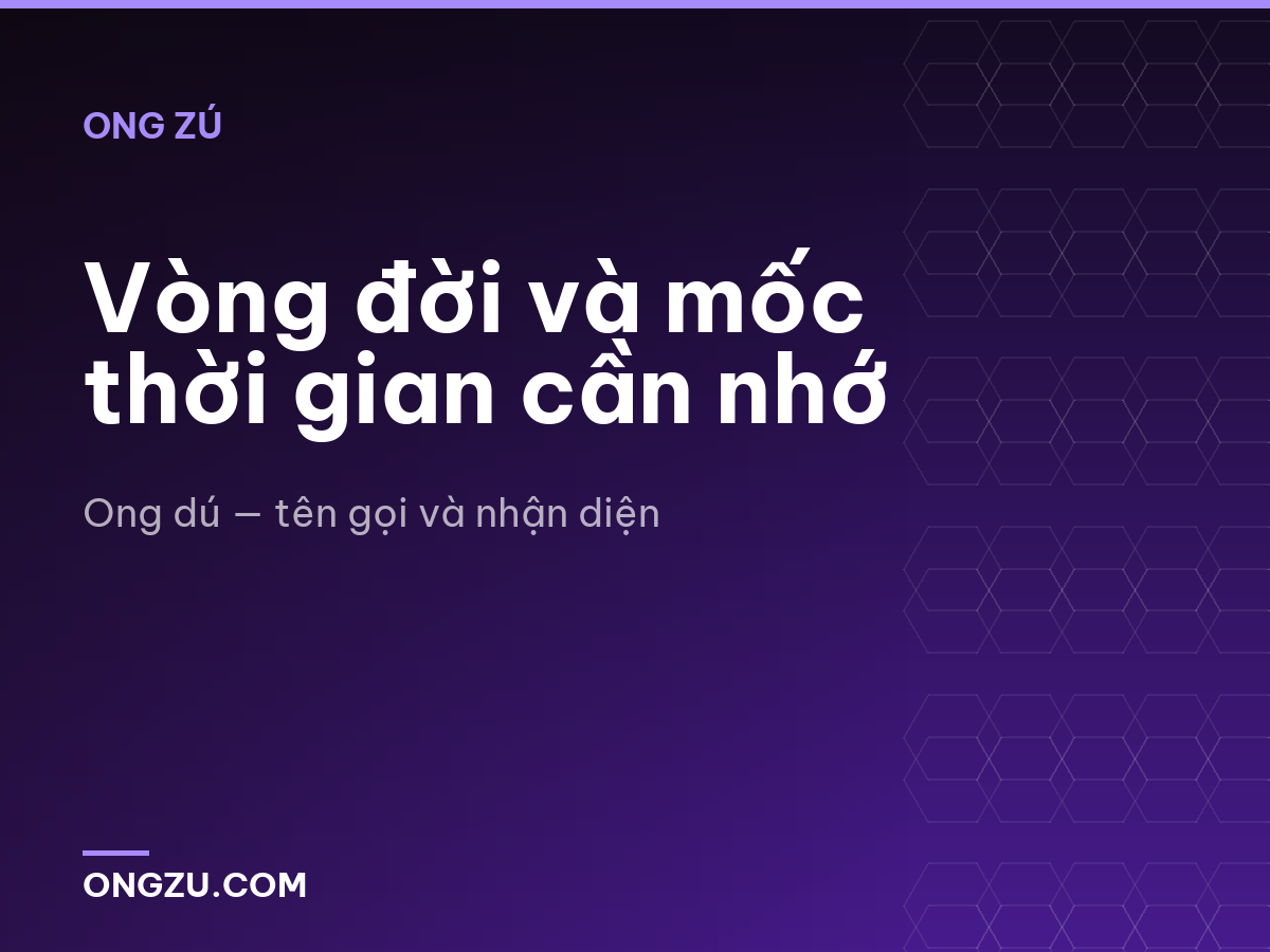 Vòng đời và mốc thời gian cần nhớ