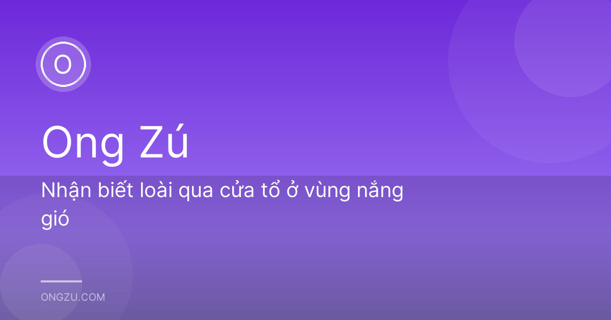 Nhận biết loài qua cửa tổ ở vùng nắng gió