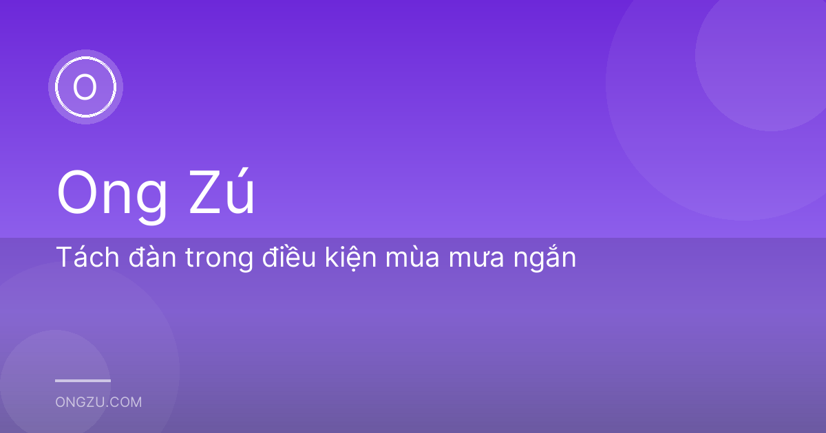 Tách đàn trong điều kiện mùa mưa ngắn